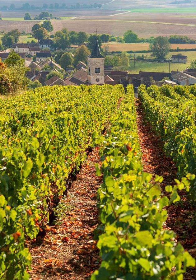 Le Nid Bourguignon Hotell Chalon-sur-Saône Eksteriør bilde